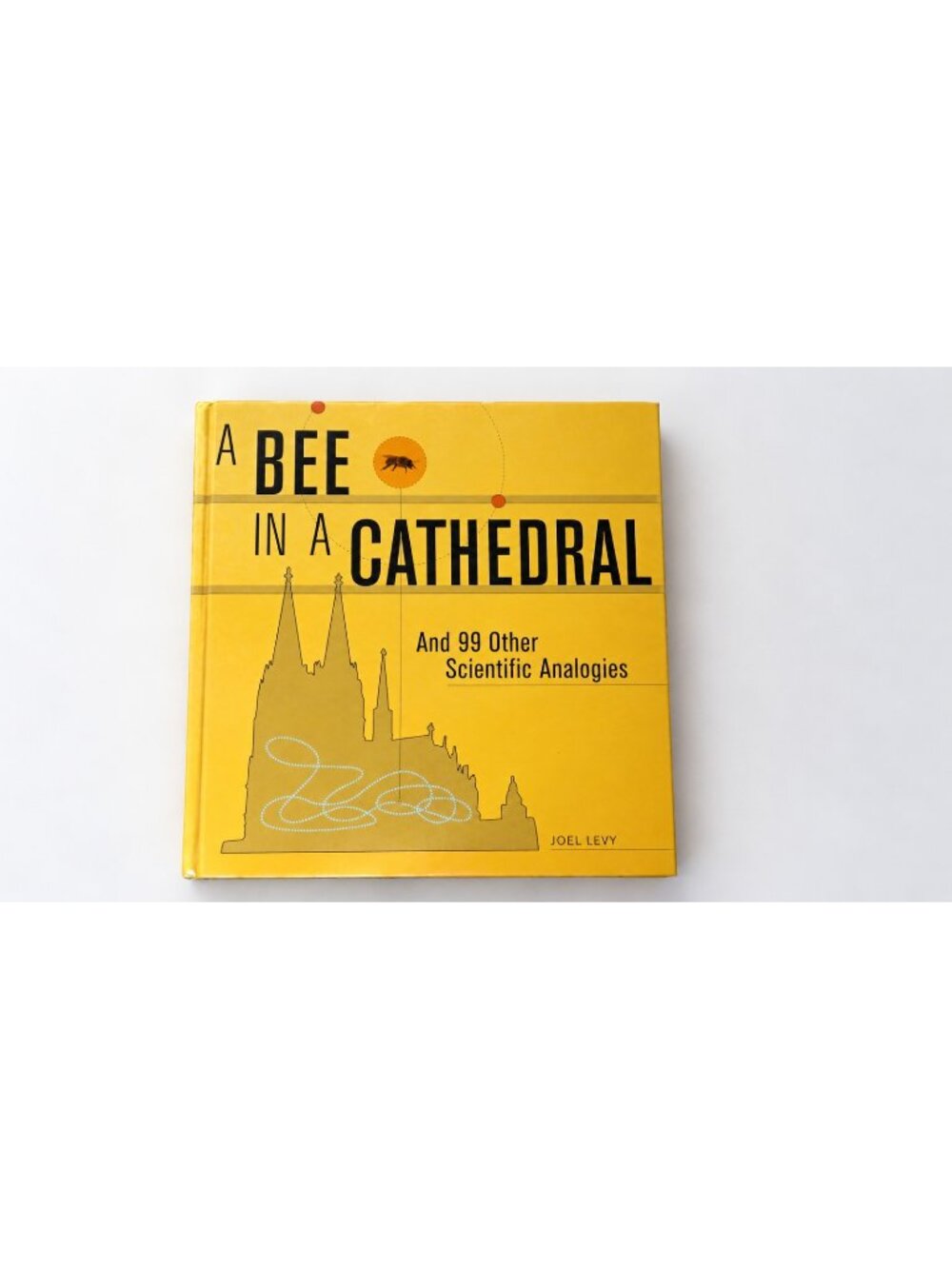 A Bee in a Cathedral Joel Levy Hardcover 2011 99 Scientific Analogies Science